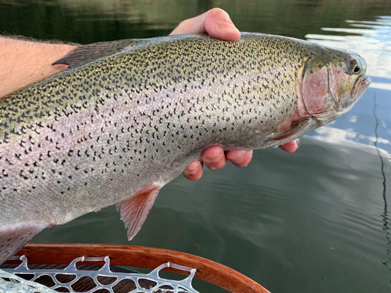 pnwflyfishing.com