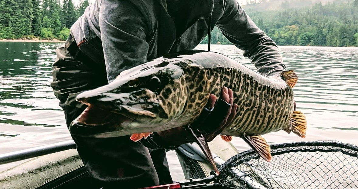 pnwflyfishing.com