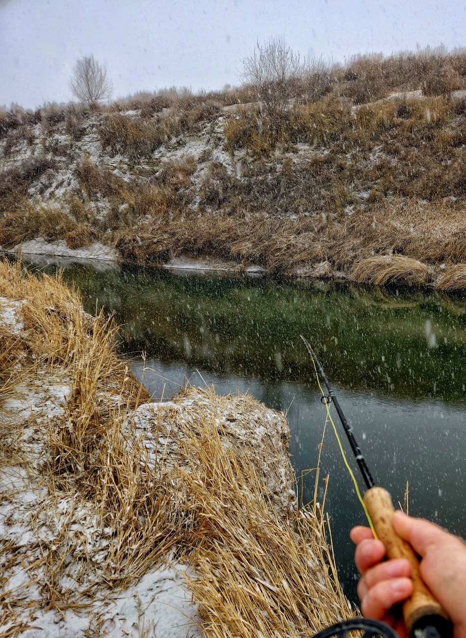 20230131_101331-01.jpeg