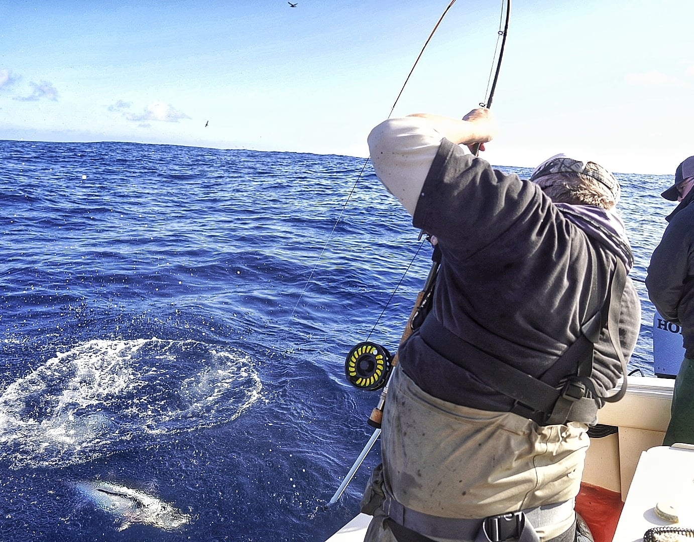 Albacore Landing 1.jpg