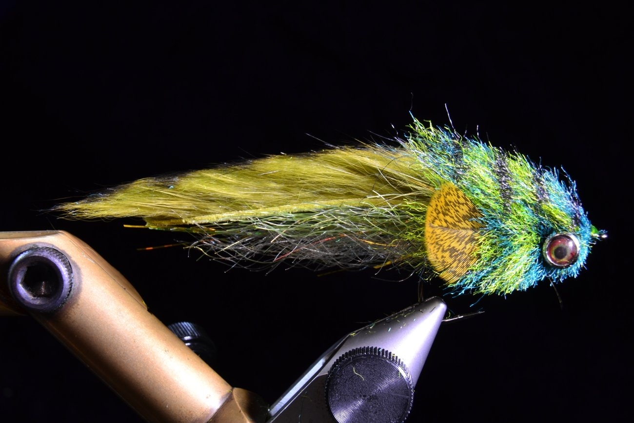 Congo Hair Sculpin - Step 6 with Dubbing Brush.JPG.jpg