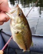 IMG_20220125_105023_816.jpg