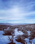 1E33C165-4787-4D02-835F-F570C138D5BE.jpeg