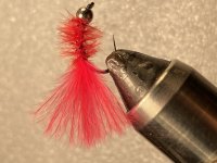 160EED87-0891-430F-95DC-130786BECD77.jpeg