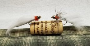 20220129_155952.jpg