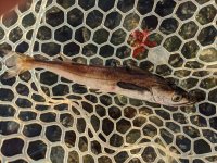 IMG_20201129_084932~2.jpg