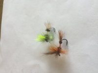 6854092C-608B-4054-9AC4-EB4E4D907873.jpeg