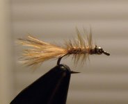 Jeremy's leech.JPG