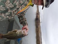 20190414_101025.jpg