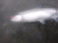 20220129_144115.jpg