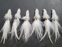 20220128_112646.jpg