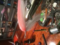 A9DE2906-9F8B-4548-B60B-FFF8D43B4906.jpeg