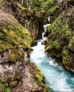 D1264B69-8D4D-4B59-BA57-783FC35CF2E1.jpeg