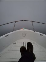 Screenshot_20220129-233048_Gallery.jpg