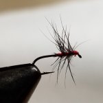 20220130_055659.jpg
