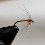 20220130_055525.jpg