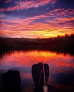IMG_20211105_195033_992.jpg