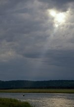 henry's sun beam 2 (2).jpg