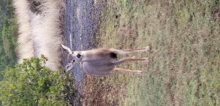 20220117_084240.jpg