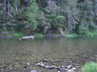 100_1415.JPG