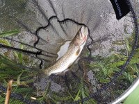 2018 05 01_0046.JPG