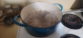20220130_131706.jpg
