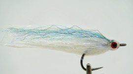 _DSC9797-01.jpeg