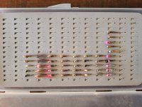 20220128_094859.jpg