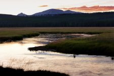 Ron Raport - Gibbon Meadows Sunset.jpg