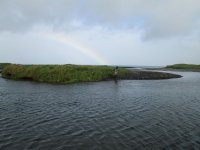 IMG_0081.jpg