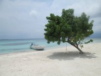 Caye1.jpg