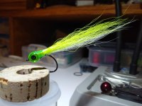 IMG_20220131_181216055.jpg