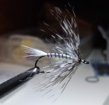 IMG_20220131_180757453.jpg