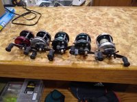 IMG_20220131_191355494.jpg IMG_20220131_191355494.jpg