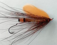 IMG_20220131_125228694~6.jpg
