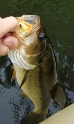 20220131_205007.jpg