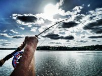IMG_20190503_203614_204.jpg