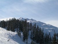 681E0583-F689-4C5A-A415-06F0AFB45A47.jpeg