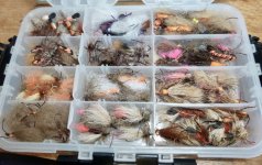 Dry salmonflies - 1.jpeg