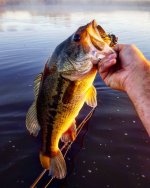 IMG_20210609_061311_735.jpg