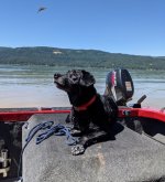 Calli resize2.jpg