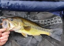 Screenshot_20220201-103748_Gallery.jpg