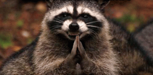 7PyE.gif 7PyE.gif