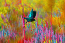 85980A87-75EB-471C-85F8-70E53D3E7D58.png