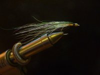 E293A25E-AAB0-46E7-8EFF-1F848DA3E590_1_105_c.jpeg