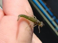 DSC00649(1)_1.JPG