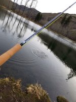 20220403_fishon.jpg