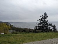 PXL_20220403_212923727.jpg