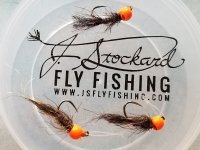 20220401_sz14flys.jpg