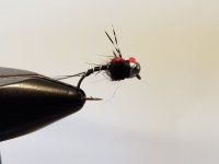 20220404_155231.jpg 20220404_155231.jpg